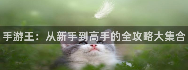 恒盛娱乐平台：手游王：从新手到高手的全攻略大集合