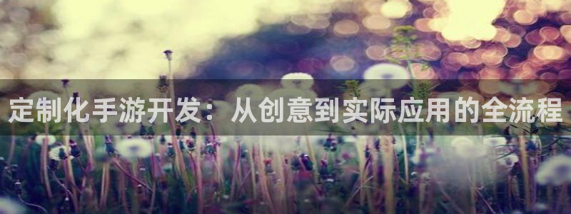 恒盛娱乐平台：定制化手游开发：从创意到实际应用的全流程