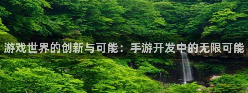 恒盛娱乐注册：游戏世界的创新与可能：手游开发中的无限可能