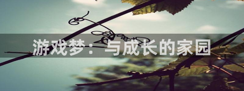 恒盛娱乐登陆：游戏梦：与成长的家园