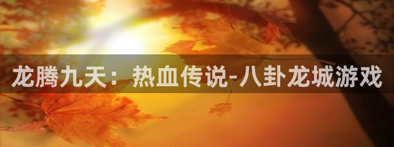 恒盛娱乐：龙腾九天：热血传说-八卦龙城游戏