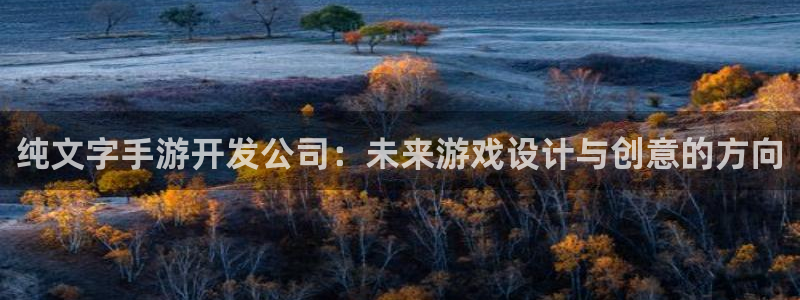 恒盛娱乐下载：纯文字手游开发公司：未来游戏设计与创意的方向