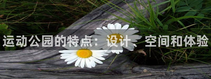 678体育官网下载