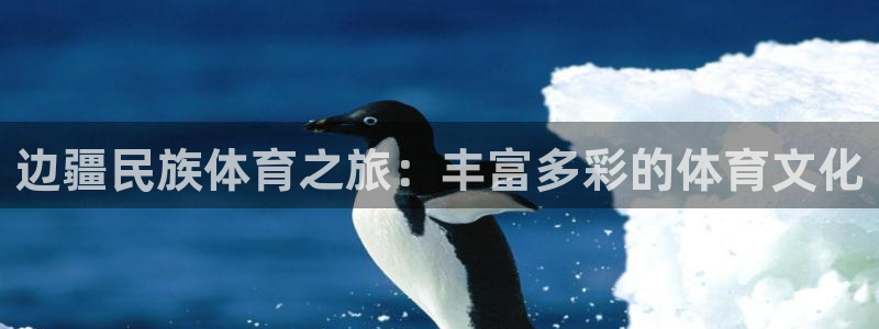 678体育知识