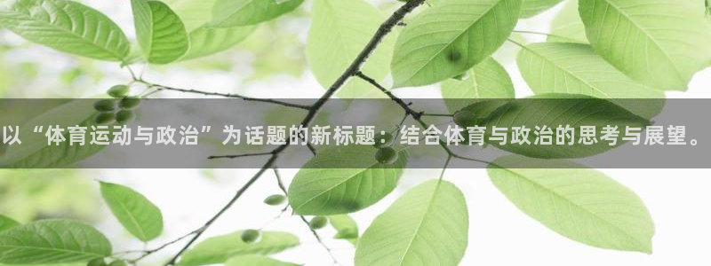 678体育官网：以“体育运动与政治”为话题的新标题：结合体育与政治的思考与展望。