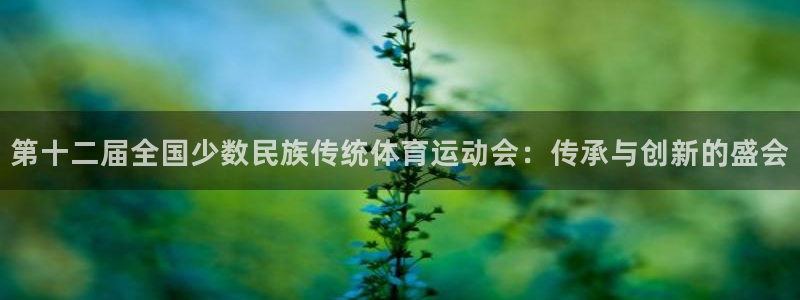 678体育官网：第十二届全国少数民族传统体育运动会：传承与创新的盛会