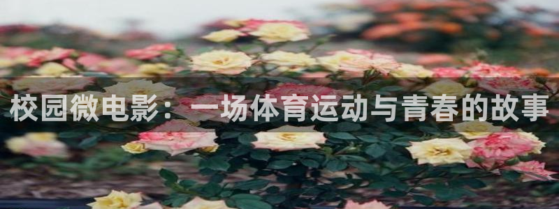 678体育app：校园微电影：一场体育运动与青春的故事